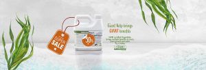 Giant Kelp brings GIANT benefits: OMRI certified OrganiKelp brings multiple benefits to roots, plant growth and yield. Try it today.