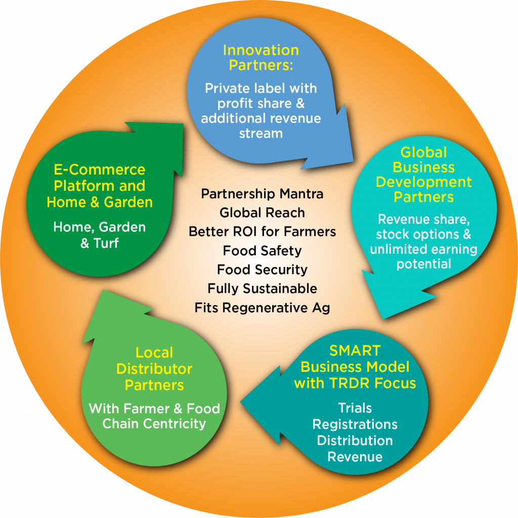 PBI Partner Model